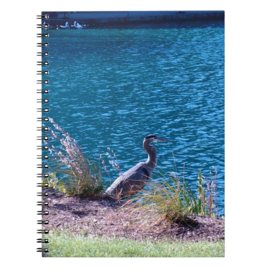 Laat de kleuren uw gids zijn notitieboek (Voorkant)