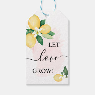 Laat de liefde Plant kweken Roze liemen tonen plez Cadeaulabel