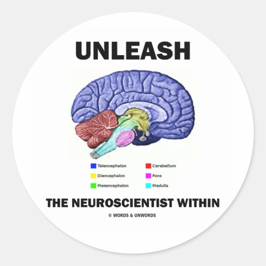 Laat de neurowetenschapper binnen (hersenanatomie) ronde sticker (Voorkant)