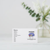 Laat de neurowetenschapper binnen (hersenanatomie) visitekaartje (Staand voorkant)