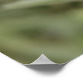 Laat de schoonheid van waar je van houdt poster (Hoek)