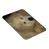 Laat de slaapbanden als een magneet liggen (Rechterzijde)