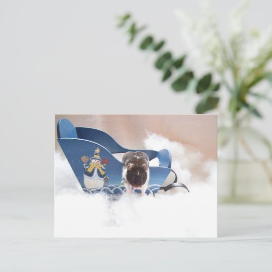 Laat de sled los! briefkaart (Staand voorkant)