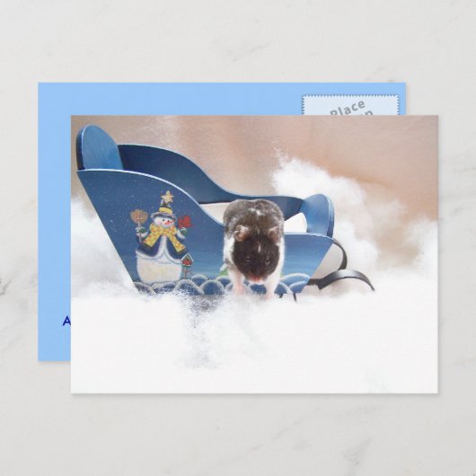 Laat de sled los! briefkaart (Voorkant / Achterkant)