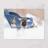 Laat de sled los! briefkaart (Voorkant)