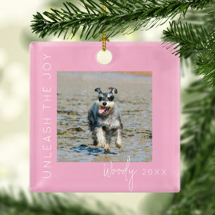Laat de vreugde los huisdier foto kerstboom metalen ornament