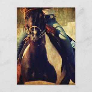 Laat die Pinto Pony run uitvoeren Briefkaart