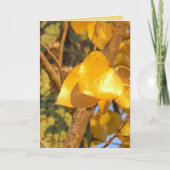 Laat die talk over kaart (Voorkant)