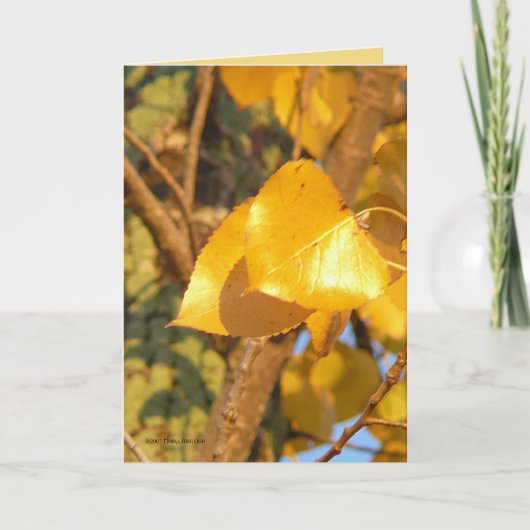 Laat die talk over kaart (Voorkant)