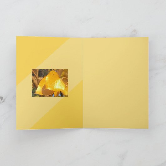 Laat die talk over kaart (Binnen)