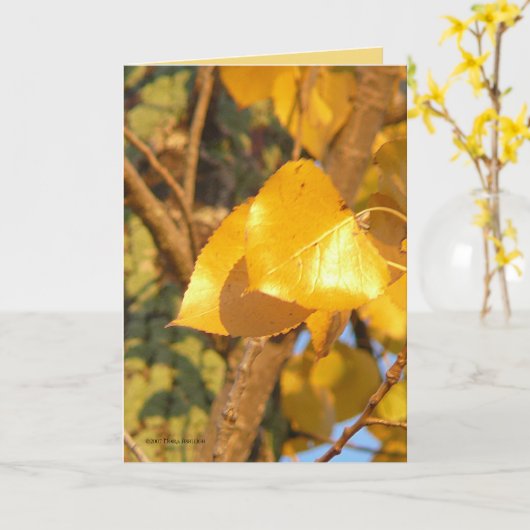 Laat die talk over kaart (Gele Bloem)