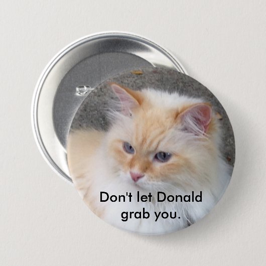 Laat Donald je niet pakken. Ronde Button 7,6 Cm (Voorkant /achterkant)