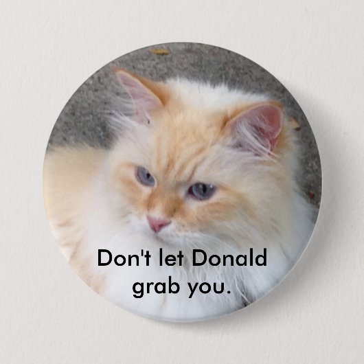 Laat Donald je niet pakken. Ronde Button 7,6 Cm (Voorkant)