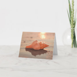 Laat een kleine Sparkle Horse conch Shell-kaart ac Kaart