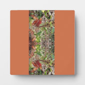 Laat foto herfst achter fotoplaat (Voorkant)