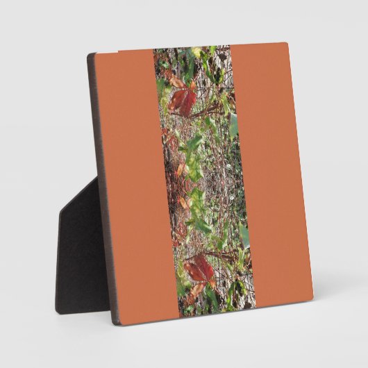 Laat foto herfst achter fotoplaat (Voorkant)