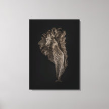 Laat geen 8 kleurversie achter