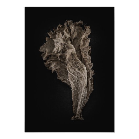 Laat geen 8 kleurversie achter foto afdruk (Voorkant)