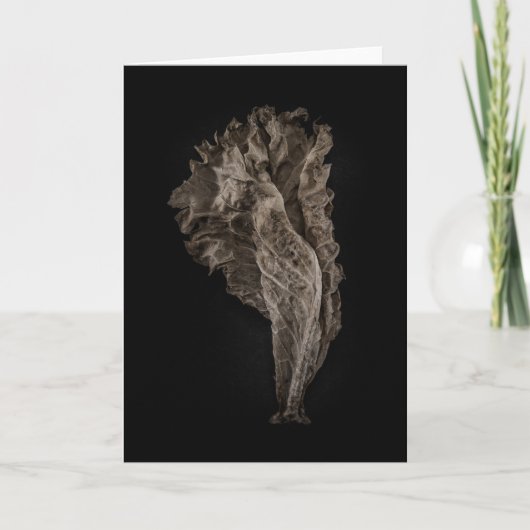 Laat geen 8 kleurversie achter kaart (Voorkant)