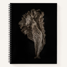 Laat geen 8 kleurversie achter