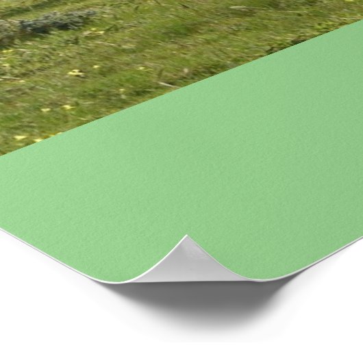 Laat God Pony Ponies Poster gaan. (Hoek)