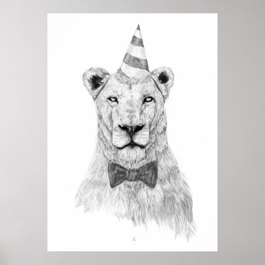 Laat het feest beginnen poster (Voorkant)