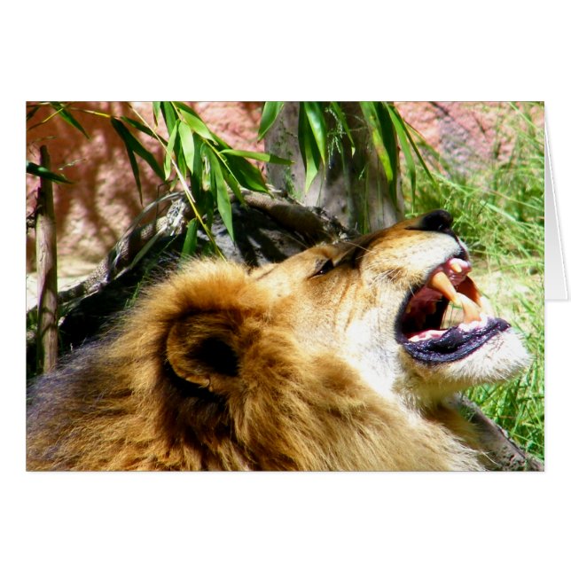 Laat het gaan. (Voorkant Horizontaal)