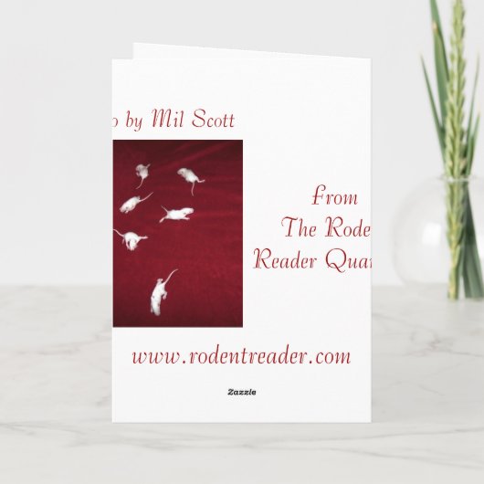 Laat het Kaart sneeuwen (Achterkant)