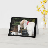 LAAT HET "KIND" IN U UITVOEREN VOOR UW GROTE DAG KAART (Gele Bloem)