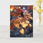 Laat het licht doorschemeren kaart (Gele Bloem)