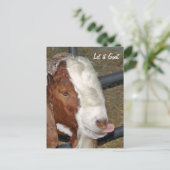 Laat het maar, Boar Billy Briefkaart (Staand voorkant)