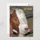 Laat het maar, Boar Billy Briefkaart (Voorkant / Achterkant)