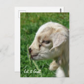 Laat het maar. briefkaart (Voorkant / Achterkant)