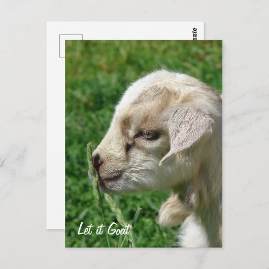 Laat het maar. briefkaart (Voorkant / Achterkant)