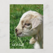 Laat het maar. briefkaart (Voorkant)