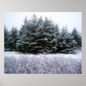 Laat het Poster sneeuwen (Voorkant)