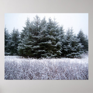 Laat het Poster sneeuwen