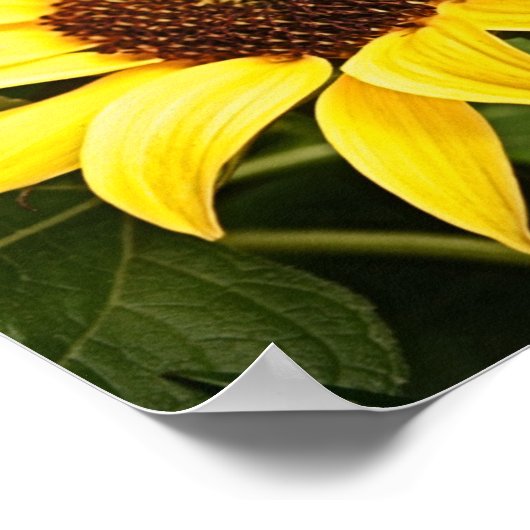 Laat het Poster van de Vrede van Christus heersen (Hoek)