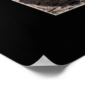 Laat het slapengooiers los poster (Hoek)