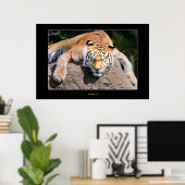 Laat het slapengooiers los poster (Thuiskantoor)