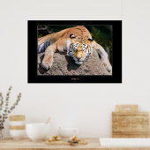 Laat het slapengooiers los poster (Keuken)