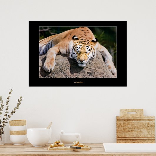 Laat het slapengooiers los poster (Keuken)