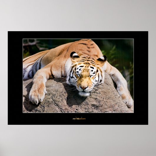 Laat het slapengooiers los poster (Voorkant)