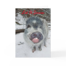 Laat het sneeuwen Christmas Pig Kaart