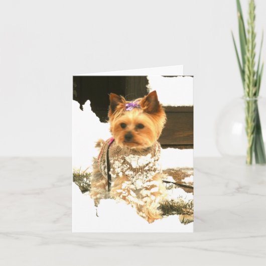 Laat het sneeuwen de Kaart van de Nota (Voorkant)