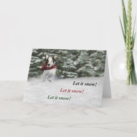 Laat het Sneeuwen Feestdagen Kaart (Voorkant)