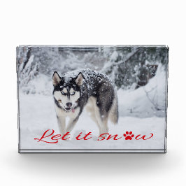 Laat het sneeuwen fotoblokken