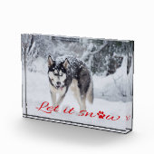 Laat het sneeuwen fotoblokken (Rechts)