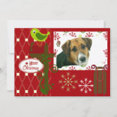 Laat het sneeuwen Gepersonaliseerd vakantiefotokaa Feestdagenkaart (Voorkant)