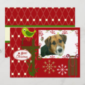 Laat het sneeuwen Gepersonaliseerd vakantiefotokaa Feestdagenkaart (Voorkant / Achterkant)